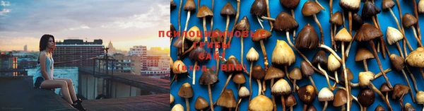 стафф Белая Холуница