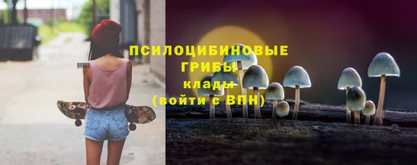 винт Бежецк
