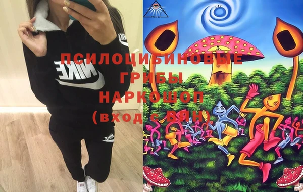 кокс Билибино