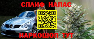 гидра Бийск