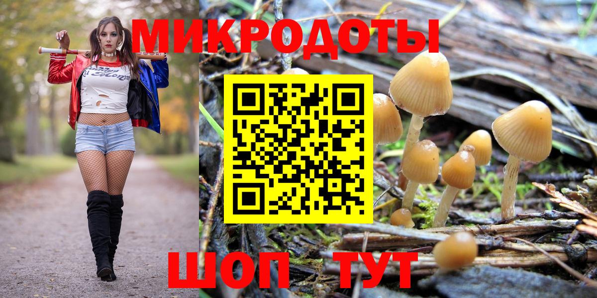 Псилоцибиновые грибы мухоморы  Псилоцибиновые грибы GOLDEN TEACHER  Вход с VPN  Грязи 