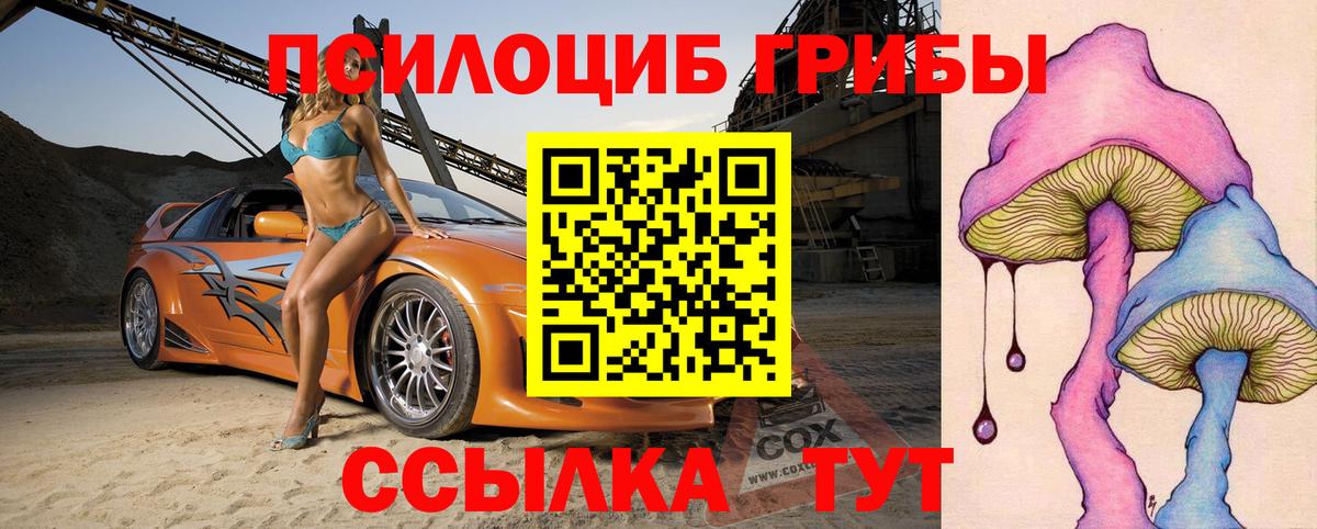 Псилоцибиновые грибы Cubensis Грязи